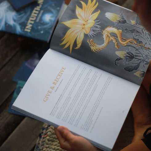 Intuition Book-By Wildling Books-Matakana Pharmacy
